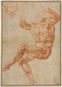 Studie for de nøgne unge over profeten Daniel (recto) af Michelangelo Buonarroti