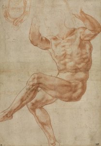Studie for de nøgne unge over profeten Daniel, for det sixtinske loft, 1510-11