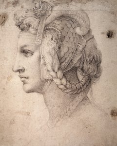Studie af hovedet af Michelangelo Buonarroti