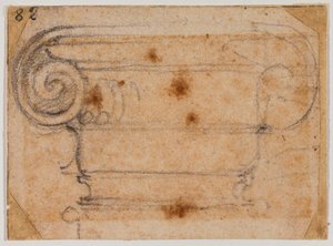 Undersøgelse af ionisk kapital af Michelangelo Buonarroti