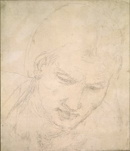Studie af et hoved, c1490-1560 af Michelangelo Buonarroti