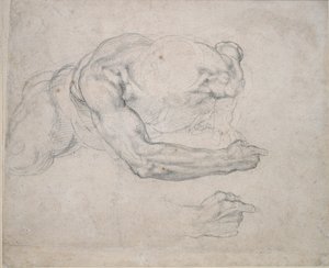 Studie af en mand, der rejser sig fra jorden, 1500-tallet af Michelangelo Buonarroti