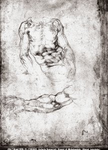 Studie af en mandlig torso og arm af Michelangelo Buonarroti