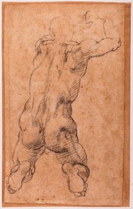 Studie af knælende mandlig nøgen. af Michelangelo Buonarroti