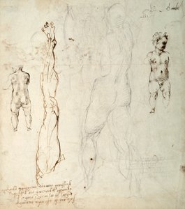 Studie af Kristusbarnet og en anatomisk tegning med noter (sort kridt og brunt blæk på papir) (verso) af Michelangelo Buonarroti
