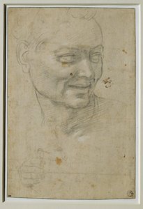 Hoved og højre hånd af ignudo over og til venstre for Esajas, ved hvælvingen i Capella Sistina ... af Michelangelo Buonarroti