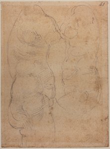 To studier af en gammel Venus af Michelangelo Buonarroti