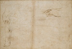 Bagside: Studier af en mands ben, c1490-1560 af Michelangelo Buonarroti