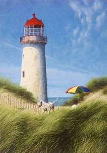 En dag i klitterne af Mike Briscoe