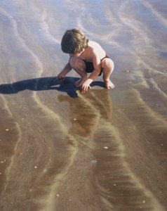 Søger efter skaller af Mike Briscoe