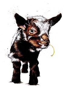 Babyged på hvidt, 2020 af Mike Davis
