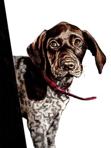 Bye Bye Puppy on White, 2020 af Mike Davis