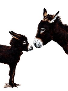 Æselmor og baby på hvidt, 2020
