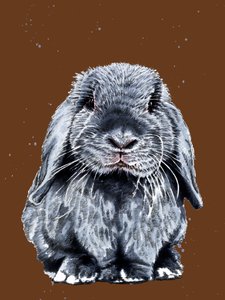 Grey One The Bunny on Burnt Orange, 2020 af Mike Davis