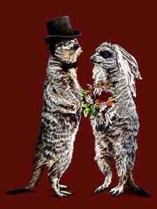 Gift Meerkats på Red Oxide, 2020 af Mike Davis