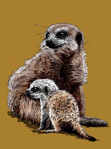 New Baby Meerkats på Golden Yellow, 2020 af Mike Davis