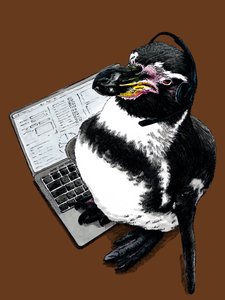 New Job Penguin på Burnt Orange, 2020