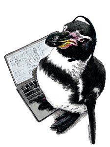 New Job Penguin on White, 2020