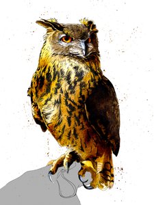 Ørneuglen på hvidt, 2019