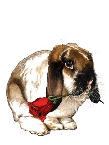 The Love Bunny on White, 2020 af Mike Davis