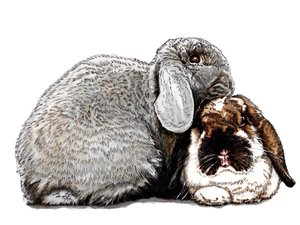 Tænker på Bunnies on White, 2020 af Mike Davis