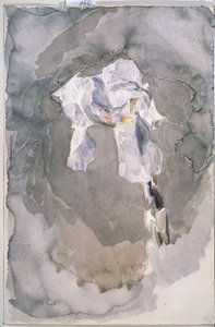 Hvid iris af Mikhail Aleksandrovich Vrubel