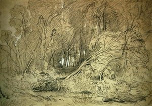 A Clearing in a Wood (sort-hvidt kridt på papir)