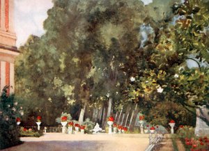 Magnolietræet, Aranjuez