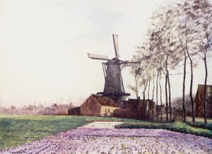 Forårets løfte (farve litho)