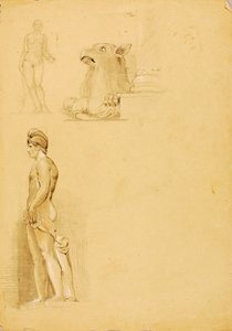 Studier af Sculante af Miner Kilbourne Kellogg