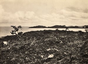 Opbygning af et imperium i den fascistiske tidsalder: Lake Tana. Etiopien, 09/05/1936 (s/hvid foto) af Modestino Baldinetti