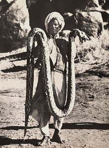 Opbygning af et imperium i den fascistiske tidsalder: indfødte med en python, 09/05/1936 (s/h foto) af Modestino Baldinetti