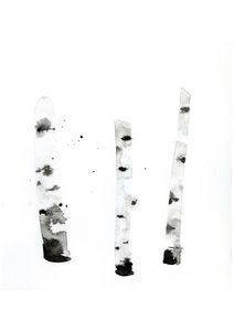 Ghost Birch, 2022 (akvarel på Langton, 300 gsm koldpresset papir) af Monica Perez Vega