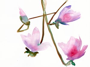 Magnolia 1, 2022 (akvarel på Langton, 300 gsm koldpresset papir)