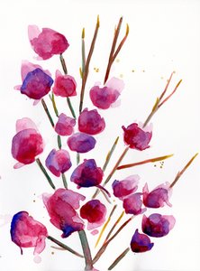 Magnolia, 2022 (akvarel på Langton, 300 gsm koldpresset papir)
