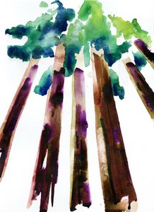 Sequoia, 2021 (akvarel på Langton, 300 gsm koldpresset papir) af Monica Perez Vega