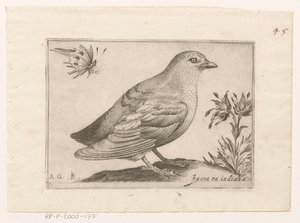 Vogel Passra Indiana (titel på objekt) Vogels (serietitel)