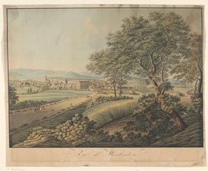 Udsigt over Wiesbaden Vue de Wiesbaden (titel på objekt) af Monogrammist DS (graveur)