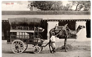Camel Dak, ca. 1911-12 (sepia foto) af Moorli Dhur and Sons