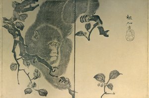 Abe, 1815, 1924.