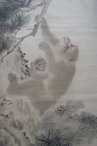 Mori Sosen, aber i fyrretræerne foran et vandfald af Mori Sosen