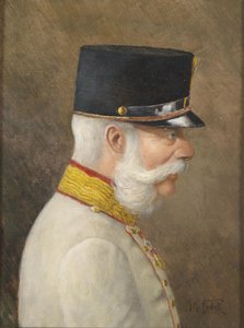 Portræt af Franz Joseph I af Østrig af Moritz Ledeli