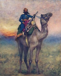A Swivel-Gun Bearer from Rajputana, 1903dani