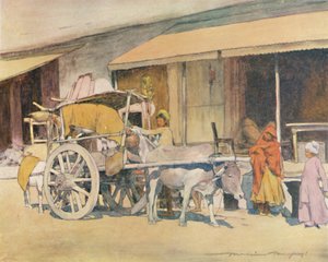 En Bullock-cart, Ajmere, 1905
