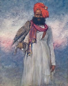 En høgemand fra Rajgarh, 1903
