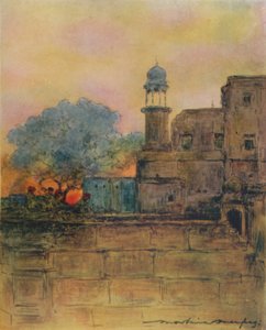 Mor, 1905