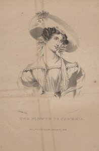The Flower of Cambria, litho af C.G. Børn, 1830
