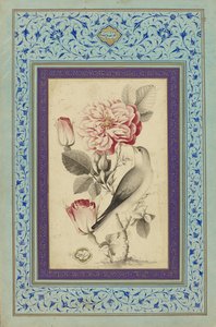 Roses and Nightingale, slutningen af det 18. århundrede (blæk og farve på papir) af Muhammad Baqir