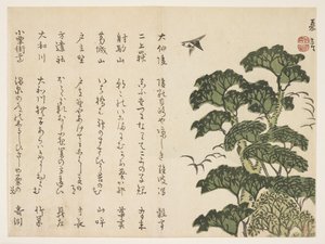 Stort træ og fugle, ca.1830-44 (farve-træsnit) af Murata Kagen