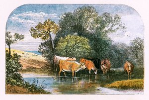 Illustration til 
